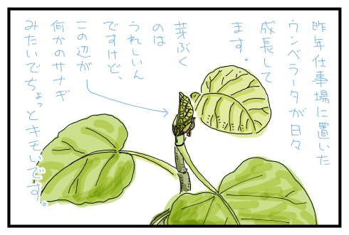 20150605.png
